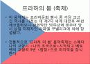 A+ 체코조사 PPT 체코, 체코음식, 체코종교, 체코도시, 체코화폐, 체코슬로바키아, 체코소개, 체코란?  59페이지