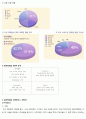 신세계백화점 VS 롯데백화점 마케팅전략 비교분석및 향후전망분석 - 환경분석, 기업내부 분석 9페이지