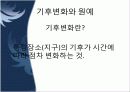 원예의 미래 13페이지