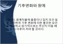 원예의 미래 19페이지