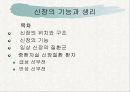 신장의  해부생리와 질환 3페이지