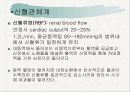 신장의  해부생리와 질환 7페이지