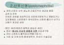 신장의  해부생리와 질환 22페이지