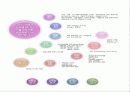 행정학원론 -지식관리론과 전자정부 12페이지
