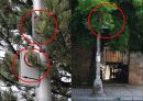 행정학원론 -지식관리론과 전자정부 14페이지