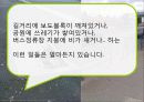 행정학원론 -지식관리론과 전자정부 18페이지