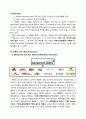 BBQ의 브랜드 세계화 방안 (Mcdonald’s Franchise 성공 사례 분석을 통한 BBQ의 새로운 세계화 전략 제시) 23페이지