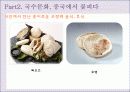 국수의 전파, 누들로드 12페이지