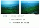 김아타 작품에 대한 불교적 관점의 신화비평 32페이지
