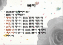 [동양문화] 그들이 본 동양 - 觀識문화 캐릭터에서 드러나는 동양인에 대한 서양인들의 특징적인 인식 분석 2페이지
