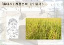 우리 문단의 ‘스타일리스트’  작가 이태준의 「돌다리」 48페이지