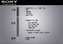 [국제경영] 소니(SONY) make believe 2페이지