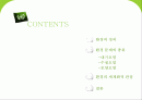 [세계화 발표] 환경 (environment) 2페이지
