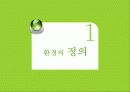 [세계화 발표] 환경 (environment) 4페이지