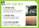 [세계화 발표] 환경 (environment) 9페이지