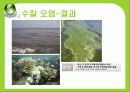 [세계화 발표] 환경 (environment) 18페이지