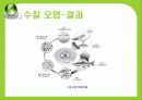 [세계화 발표] 환경 (environment) 19페이지