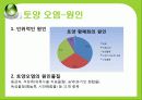 [세계화 발표] 환경 (environment) 24페이지