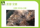 [세계화 발표] 환경 (environment) 29페이지