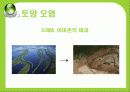 [세계화 발표] 환경 (environment) 30페이지