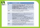[세계화 발표] 환경 (environment) 39페이지