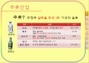 주류산업의 유통구조 3페이지