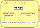 주류산업의 유통구조 12페이지