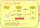 주류산업의 유통구조 20페이지