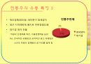 주류산업의 유통구조 28페이지