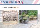 영국의 차(茶)문화 8페이지