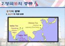 영국의 차(茶)문화 16페이지