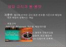 카지노 (Casino) 15페이지