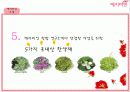 예지미인의 베트남 시장 진출 전략 9페이지