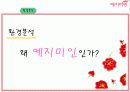 예지미인의 베트남 시장 진출 전략 19페이지