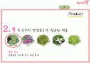 예지미인의 베트남 시장 진출 전략 38페이지