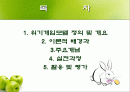 위기개입모델 2페이지