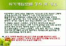 위기개입모델 3페이지