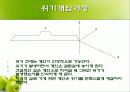 위기개입모델 14페이지