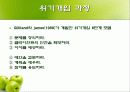 위기개입모델 15페이지