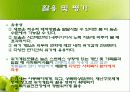 위기개입모델 17페이지