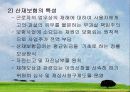 사회보험제도 9페이지