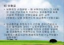 사회보험제도 13페이지