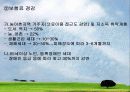 사회보험제도 32페이지