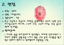 사회복지실천기술론 - 행동주의모델 4페이지