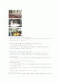 보육환경의 의미와 특징 6페이지