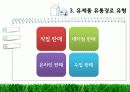 유제품 유통경로 6페이지