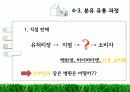유제품 유통경로 20페이지