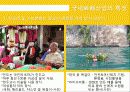 화훼시장, 화훼 산업의 유통구조와 문제점 및 개선안 5페이지