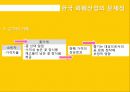 화훼시장, 화훼 산업의 유통구조와 문제점 및 개선안 17페이지