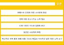 화훼시장, 화훼 산업의 유통구조와 문제점 및 개선안 27페이지